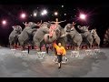 Ringling Bros Circus To Phase Out Elephant Acts