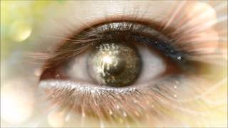 Ataraxia - Rocking Chair Of Dreams