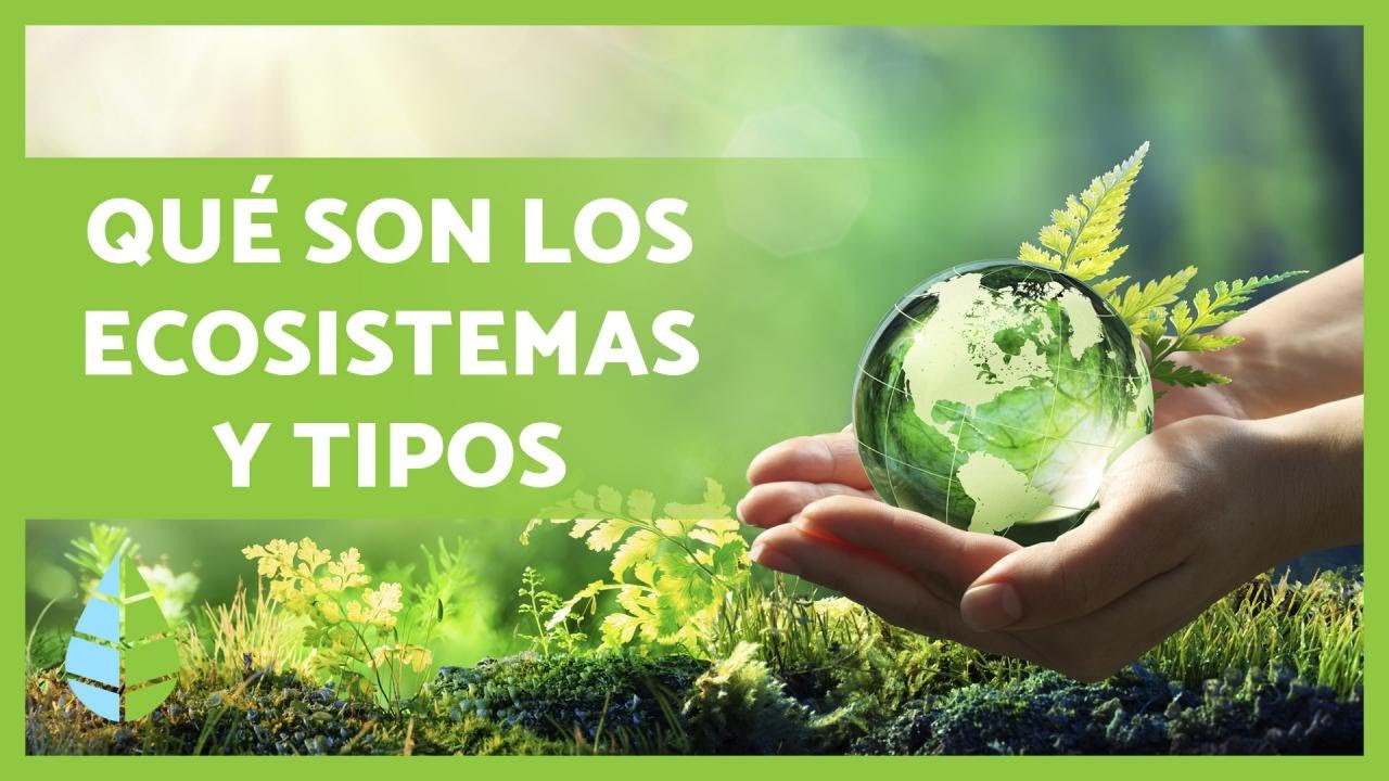 Definición y TIPOS de ECOSISTEMAS 🏜️🏙️🌅