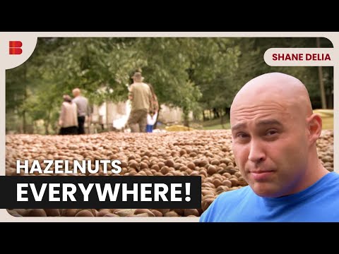 Enjoying Georgian Turkish Cuisine! - Shane Delia - Food Documentary