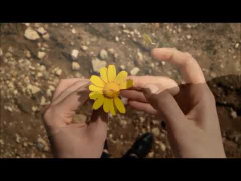 TRADUÇÃO :HOLD ON MY HEART (PHIL COLLINS) ROBSON GOMES