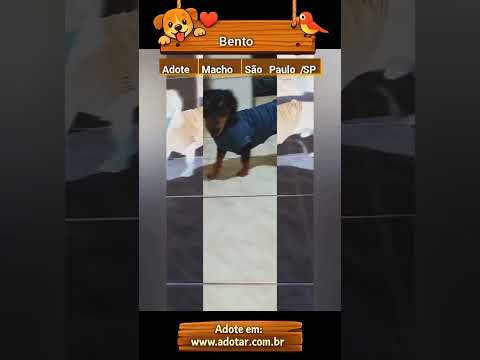 Vídeo de Bento