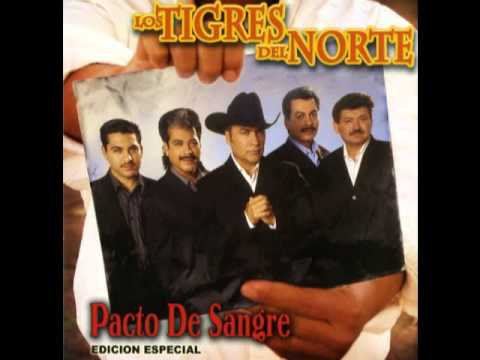 No Tiene la Culpa el Indio__Los Tigres del Norte Album Pacto de Sangre (Año 2004)