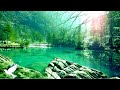 24 Hours Relaxing Music Relaxing Music Piano Meditation Music Sleep Music Study