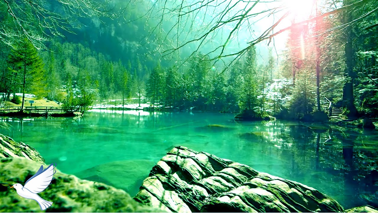 24 Hours Relaxing Music ♫ Relaxing Music Piano , Meditation Music, Sleep Music , Study 🎵