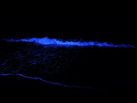 Fall Asleep with Powerful Waves at Night on Museddu Beach - Ocean Sounds for Deep Sleeping 🛌🛌🛌