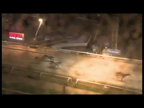 Trade Fudge - Download The Coral App 490 - Heat 2 (490m Track Record Run)