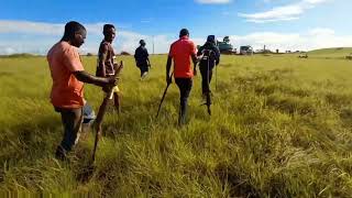 Download lagu berburu biawak di Padang Savana afrika mp3 Download lagu berburu biawak di Padang Savana afrika mp3