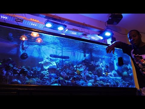 400G REEF FISH EXPLODED  RECOVERY PART I SALTWATER AQUARIUM CORAL REEF TANK UPDATE
