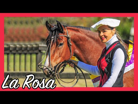 Cabanha Cala Bassa & La Rosa!