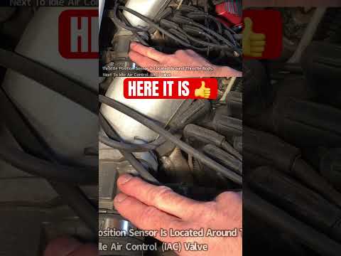 TRYING TO FIND YOUR THROTTLE POSITION SENSOR?