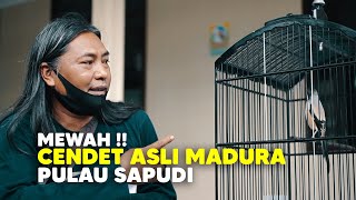 Download lagu MEWAH !!  , CENDET IDAMAN ASLI PULAU SAPUDI MADURA mp3