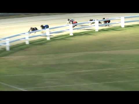 2020.07.24. 01. futam - Mega Delight Díj S1