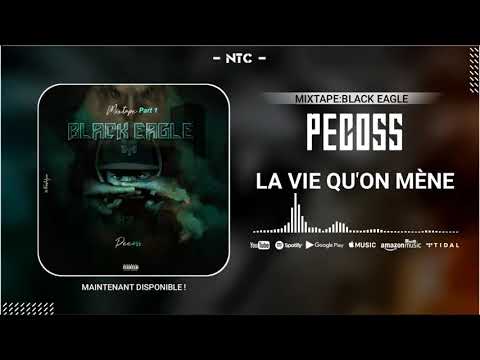 (02).PECOSS - LA VIE QU'ON MÈNE (BLACK EAGLE 1ère PARTIE)