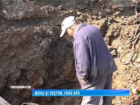 MOHU SI VESTEM, FARA APA