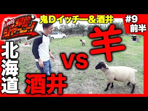 ＜鬼Dイッチー × 酒井＞＃9 北海道編(前半)【羊に押される男・酒井】圧倒的 弾球ジャーニー！【旅＆パチンコ実戦バラエティー】