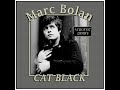 Marc Bolan - Cat Black (1966) Acoustic Demo