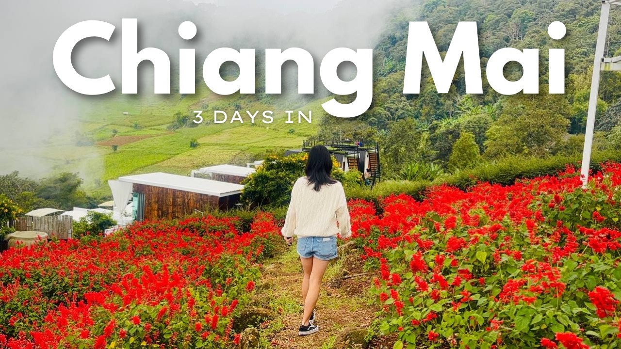 3 days in CHIANG MAI (beef noodles, cafes, doi Inthanon & Mae Raem)