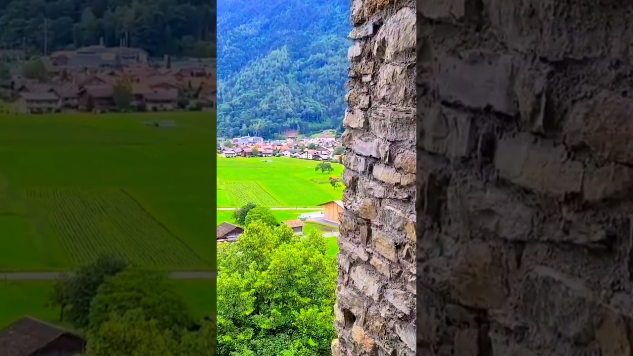 YouTube Short thumbnail