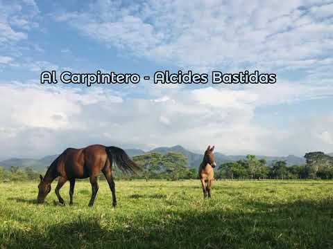 Alcides Bastidas -  Al carpintero