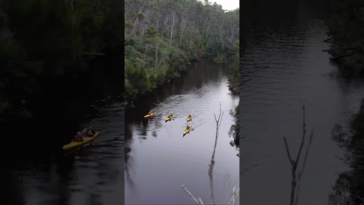 YouTube Short thumbnail