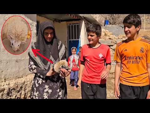 A special and wonderful guest at the Akram's Farm