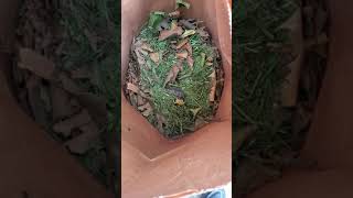 Poor mouse never stood a chance💀💀