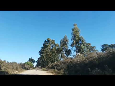 Caminante sí hay camino🚶‍♀️Ciudad del Plata barrio Santa Victoria/ Monte grande/ San Fernando chico