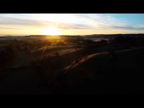 Österlensvepet del 41. Vid Brösarps backar