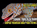 Suara Tokek, Gecko Sound, เสียงตุ๊กแกน่ากลัว, Suara Tokek Pengantar Tidur