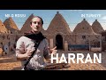 Harran: Ruin and Rebirth in the Fertile Crescent