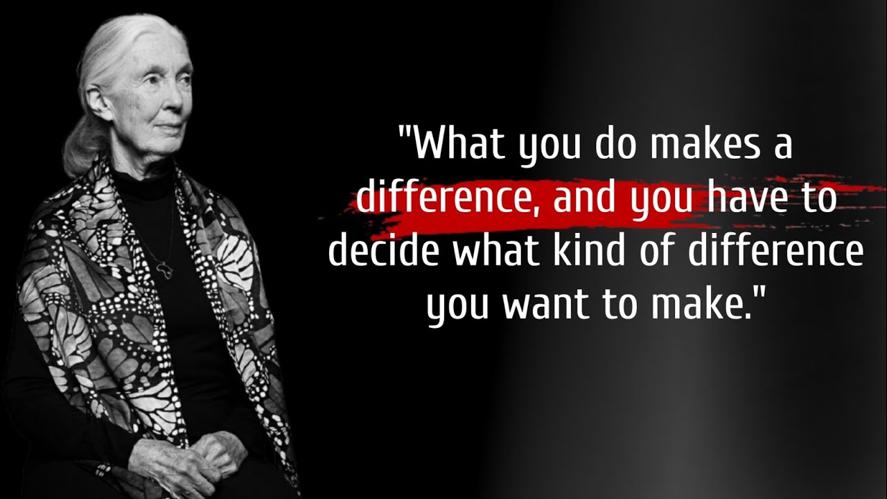 Find Hope and Action in These 10 Memorable Jane Goodall Quotes