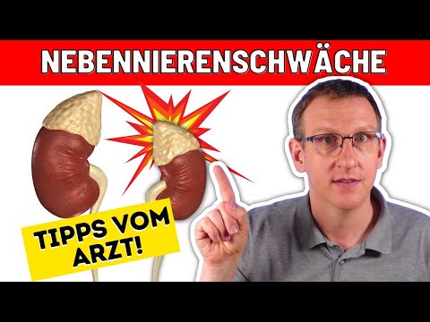 Die besten Tipps zur Behandlung von Nebennierenschwäche  - Tipps vom Arzt