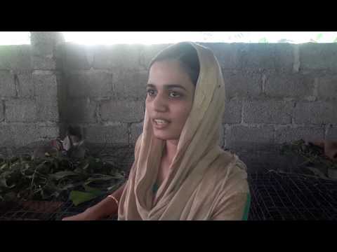 മുയൽ വളർത്തൽ / ആലുവ  മുയൽ കൃഷിയിൽ വരുമാനം ഉണ്ടാക്കാം #Rabbit#Farming#Malayalam #☎️:9895297205