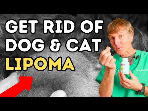 DISSOLVE Dog Lipomas (Lumps): 5 Natural Remedies That Work!