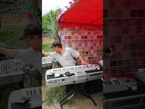 Lăutarii din satul Teleormanul 2