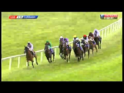 Oxigen Environmental Pretty Polly Stakes 2013