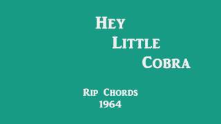 Hey Little Cobra - Rip Chords - 1964