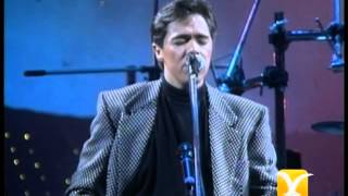 Los Temerarios, Mi Corazón Te Quiere, Festival de Viña 1993