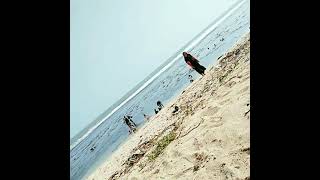 Download lagu Video Buat Prank temen π€« #Short Video#Short#Pantai mp3 Download lagu Video Buat Prank temen π€« #Short Video#Short#Pantai mp3