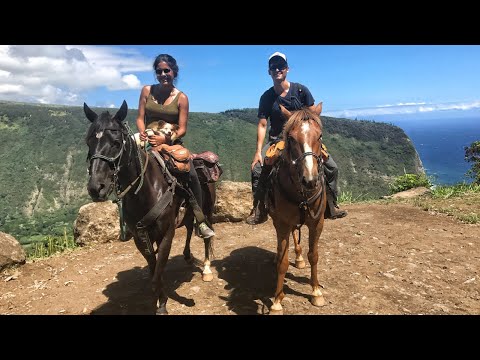 YouTube video about: Are there horses in hawaii?