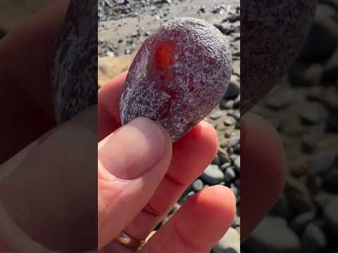 "Agate Stone Found & Cut | Valuable Rock That Pays Big!" #youtubeshorts