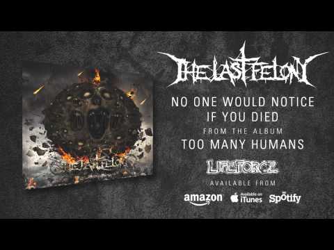 THE LAST FELONY - No One Would Notice If You Died (album track)