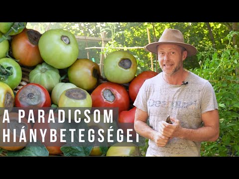 , title : 'A paradicsom hiánybetegségei | kert TV'