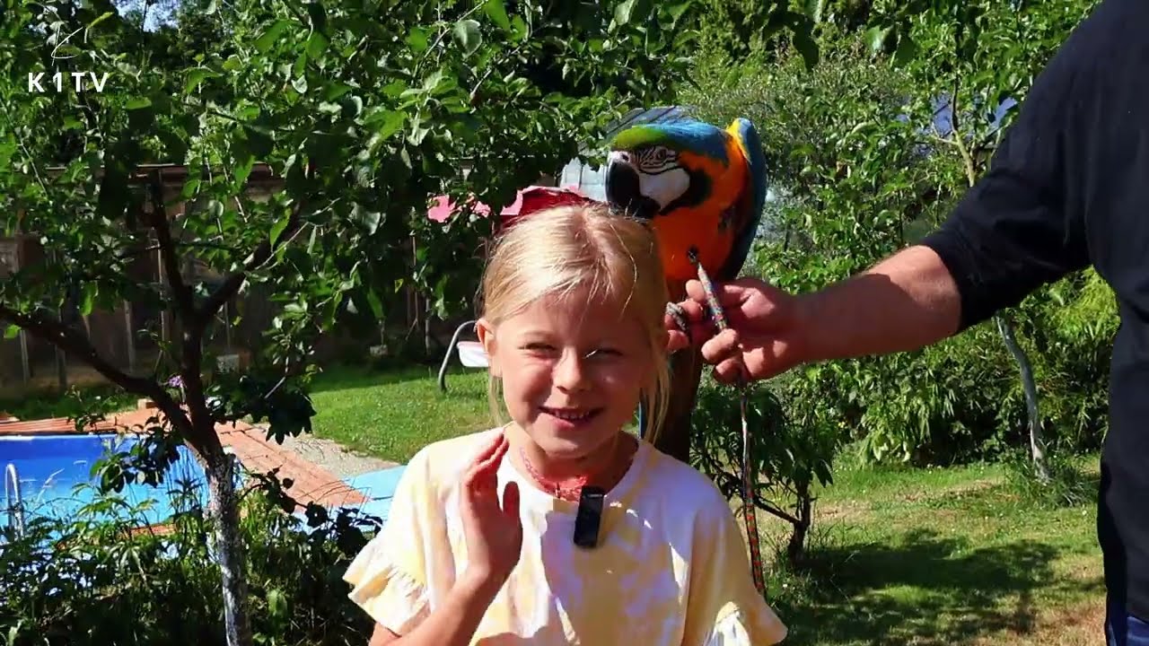 Papoušci do škol mají nový přírůstek a chystají tábory pro děti 👧🦜🪶