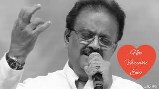 Nee Varuvai Ena  Tamil  Sad Love Status  SPB