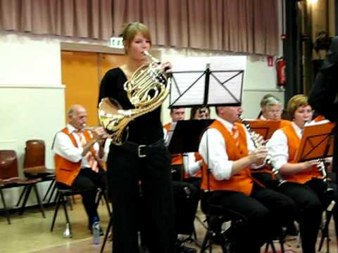 Concerto for Horn, Saverio mercadante D-examen
