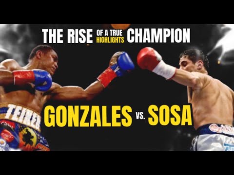 Roman Gonzalez vs Edgar Sosa highlights TKO round 2