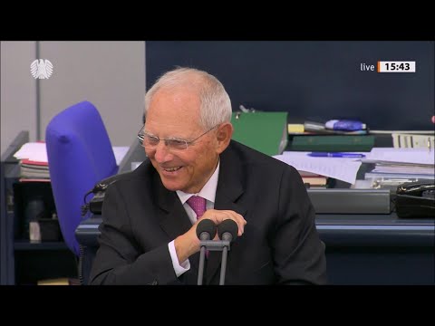 ,,Gestatten Sie eine Zwischenfrage...?'' (2020)