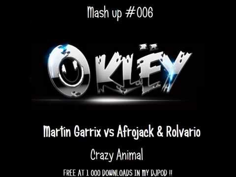 PREVIEW Martin Garrix vs Afrojack & Rolvario - Crazy Animal (Oklëy Mash up)